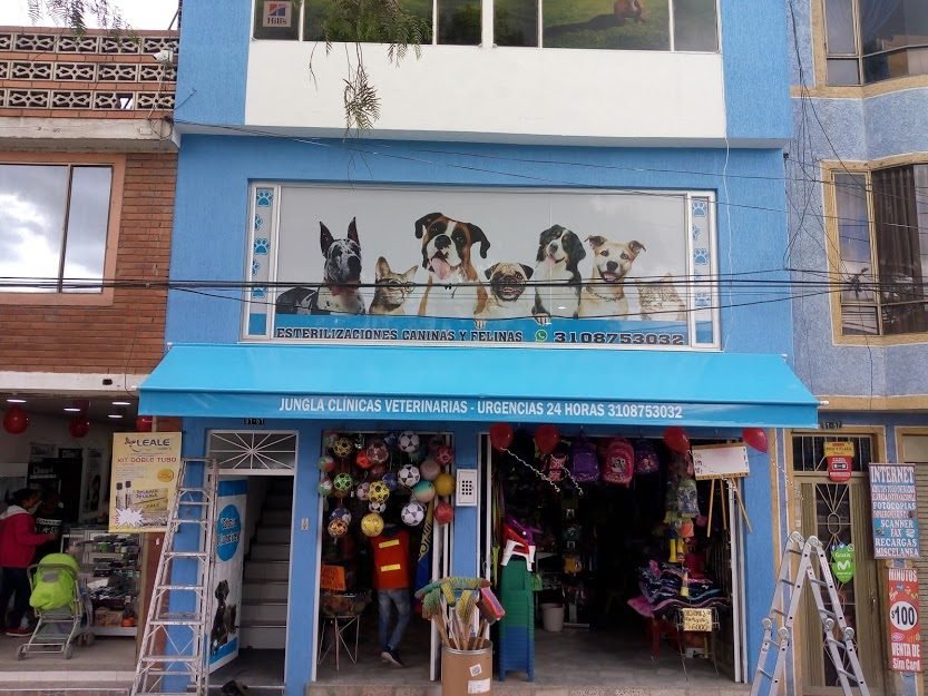 Toldo fijo o parasol de fachada para local comercial en Bogotá - Carpas De Cubrir